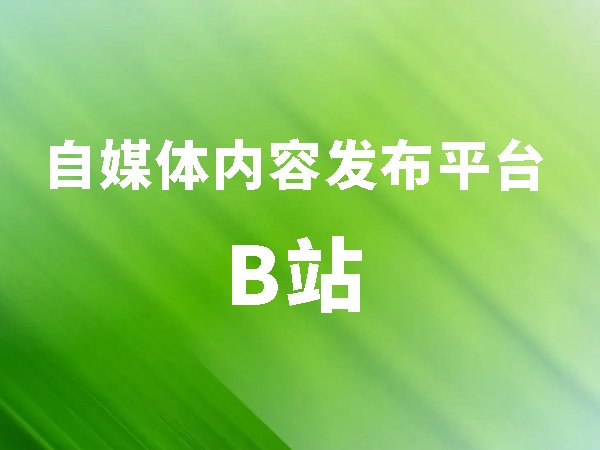 自媒體內容發(fā)布平臺（一）B站